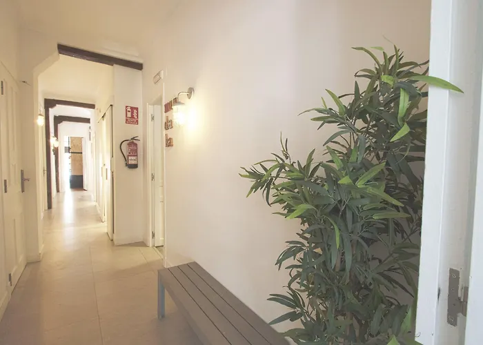 Hostel Surfing Etxea - Surf San Sebastián