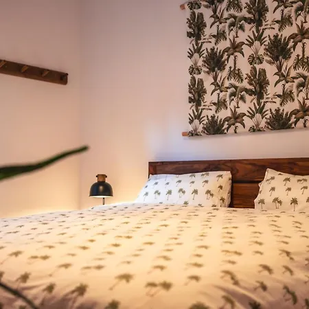 Hostel Surfing Etxea - Surf *
