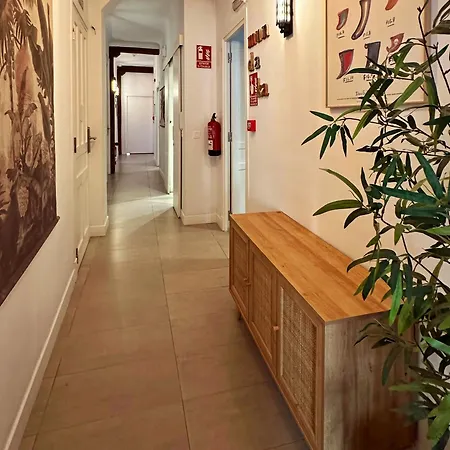 Surfing Etxea - Surf Saint-Sébastien