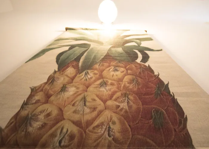 Surfing Etxea - Surf 旅馆 圣塞瓦斯蒂安